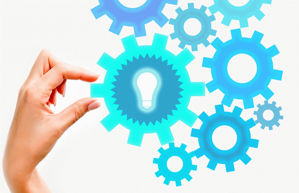 19 نکته ضروری درباره سگ‌های تریر: راهنمای جامع برای علاقه‌مندان